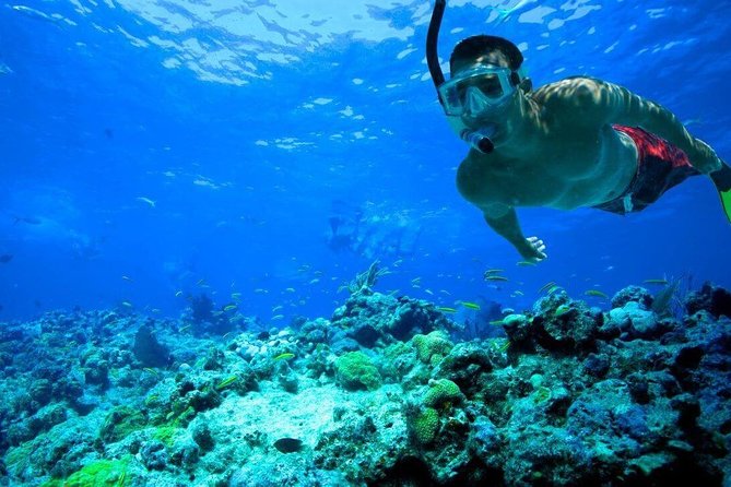 Key West Reef Snorkel – Morning Mimosas or Afternoon Margaritas - Snorkel gear, flotation, and the swim rule that matters