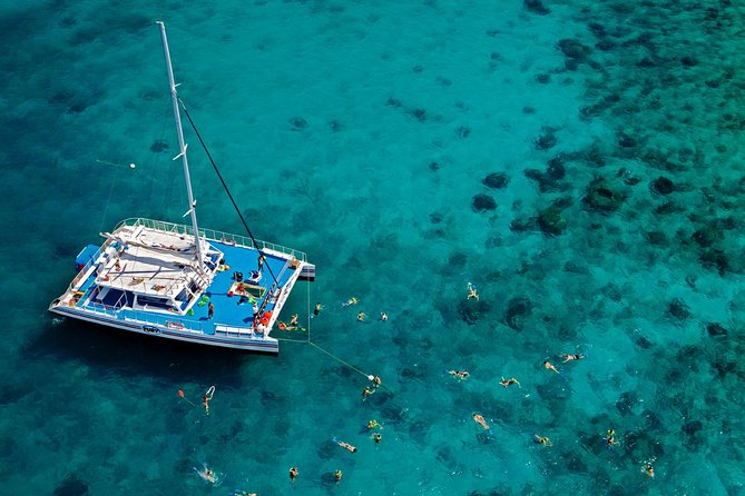 Key West Reef Snorkel – Morning Mimosas or Afternoon Margaritas - Morning mimosas vs afternoon margaritas: the drink plan that stays reasonable