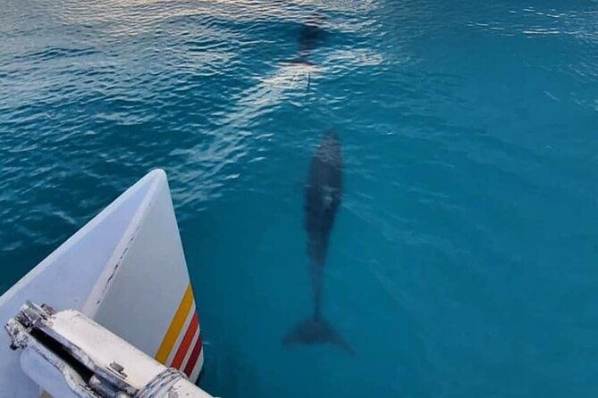 Key West Sunset Sail: Dolphin Watching, Wine, and Tapas - Setting Sail from Key West Historic Seaport (and getting the right start)