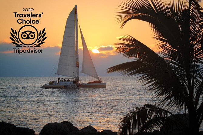 Key West Sunset Sail: Dolphin Watching, Wine, and Tapas - Price and Value: Why $89 Can Feel Fair