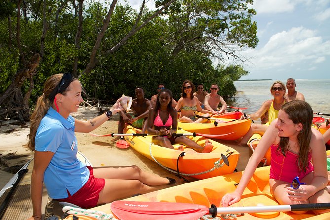 Key West's Island Adventure Sandbar Tour with Kayaking - The Remote Sandbar: Lounge Time Is the Point