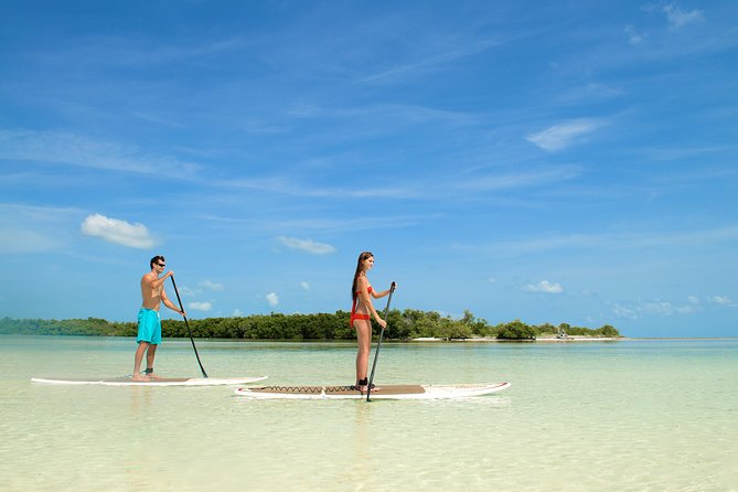 Key West's Island Adventure Sandbar Tour with Kayaking - Sunset Cruise Option: PM Timing and the Chill Return
