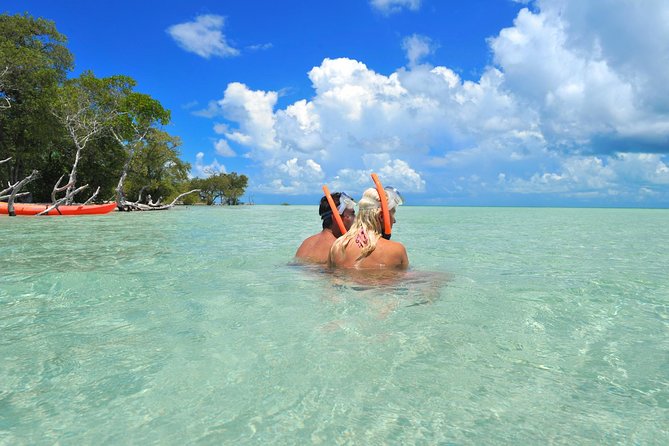 Key West's Island Adventure Sandbar Tour with Kayaking - Island Adventure Route: Lake Passage, Mangroves, and Wildlife Chances