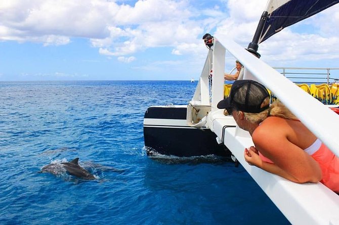 Ko Olina Catamaran Sail and Snorkel with Lunch - Ko Olina Catamaran Basics: a 3-hour Reef Trip in a 53-foot Boat