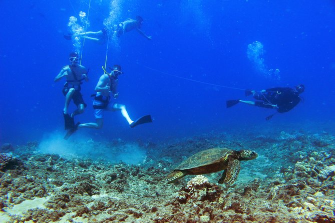 Ko Olina Catamaran Sail and Snorkel with Lunch - Stop 1: Ko Olina Marina—Why This Start Feels Chill