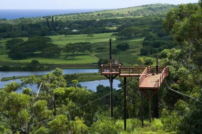 Koloa Zipline in Kauai - Check-in, gear fit, and the safety briefing you’ll actually appreciate