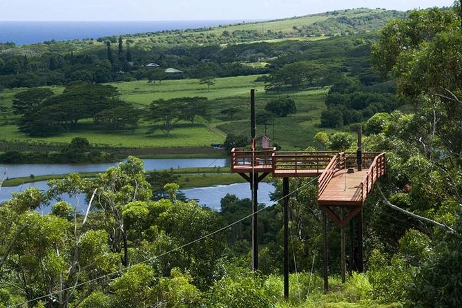 Koloa Zipline in Kauai - Check-in, gear fit, and the safety briefing you’ll actually appreciate