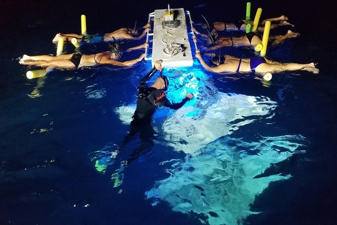 KONA Manta Ray Night Snorkel - FREE re-ride if no Sightings - Quick High-Impact Details Before You Go