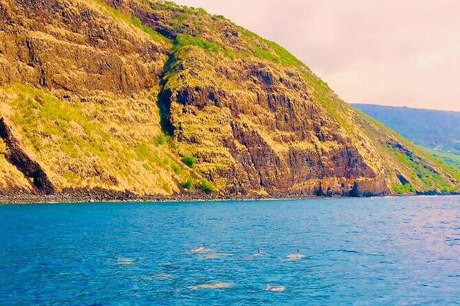 Kona Snorkel Tour: Captain Cook Reef Snorkel, Dolphin & Sea Caves - Snorkeling Kealakekua Bay: Coral, Fish, and How to Prep