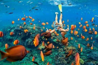Kona Snorkel Tour: Captain Cook Reef Snorkel, Dolphin & Sea Caves - Captain Cook Monument Stop: Why This Spot Matters