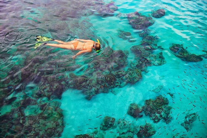 Kona Snorkel Tour: Captain Cook Reef Snorkel, Dolphin & Sea Caves - Sea Caves and Lava-Tube Country Along the Coast