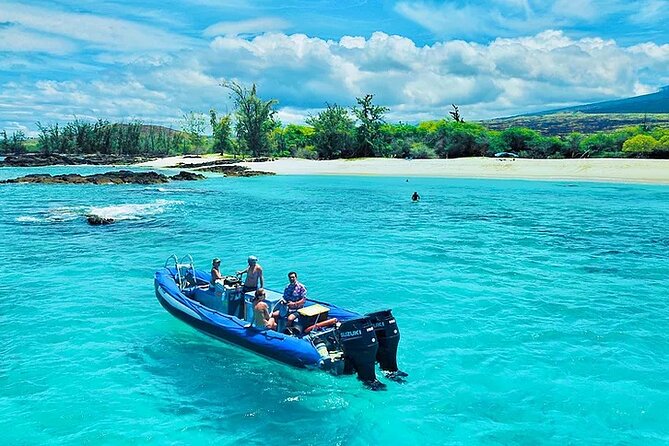 Kona Snorkel Tour: Captain Cook Reef Snorkel, Dolphin & Sea Caves - Price and Value vs Big Boats