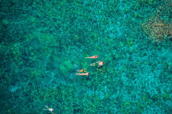 Kona’s Best Morning Snorkel: Captain Cook & Kealakekua Bay - Water slides, high dives, and easy entry/exit (for all ages)