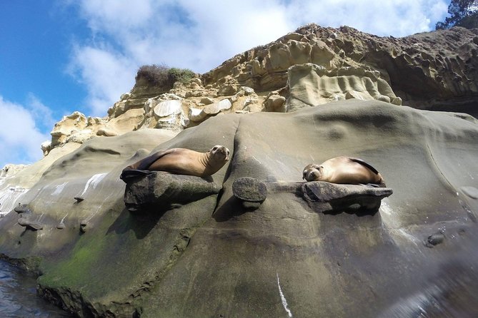 La Jolla Sea Caves Kayak Tour For Two (Tandem Kayak) - Starting point on Avenida de la Playa: where your tour really begins