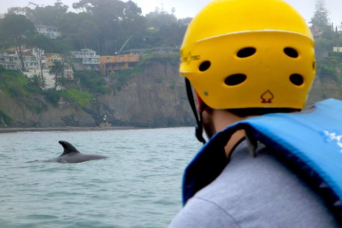La Jolla Sea Caves Kayak Tour For Two (Tandem Kayak) - La Jolla Shores to the sea cave area: the paddle that sets the tone