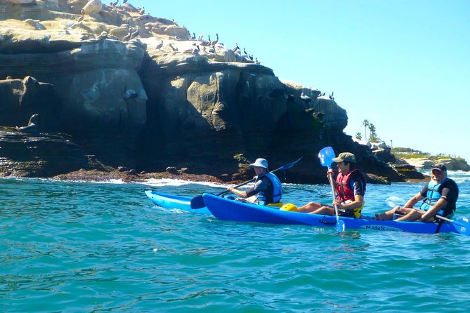 La Jolla Sea Caves Kayak Tour For Two (Tandem Kayak) - Wildlife spotting that feels real, not staged