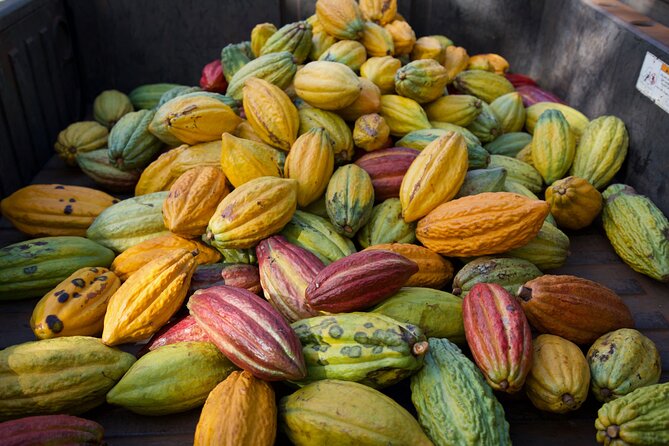 Lahaina: Maui Ku'ia Estate Guided Cacao Farm Tour and Tasting - How much is $99.48 worth for a Maui chocolate tour?