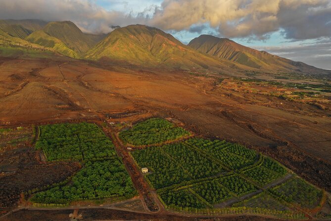 Lahaina: Maui Ku'ia Estate Guided Cacao Farm Tour and Tasting - Timing, parking, and what to expect on your feet