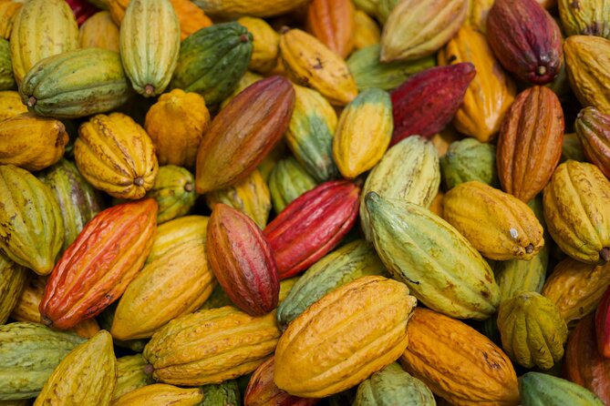Lahaina: Maui Ku'ia Estate Guided Cacao Farm Tour and Tasting - Guides and the vibe: why people keep returning
