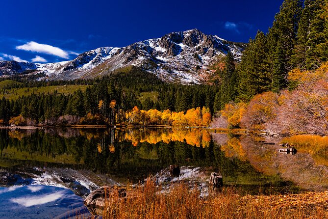 Lake Tahoe Small-Group Photography Scenic Half-Day Tour - Who this tour is best for (and who should choose something else)