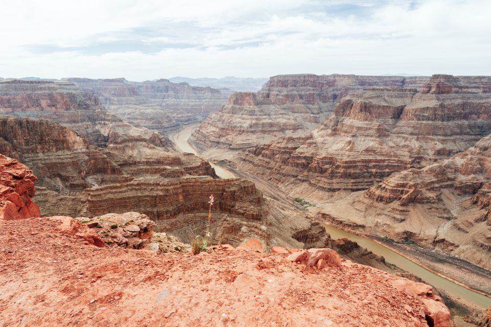 Las Vegas: Grand Canyon West Rim Tour with Hoover Dam Stop - Joshua Tree Forest Driving: A Scenic Bonus Before the Canyon