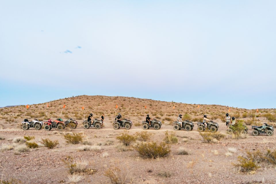 Las Vegas: Guided Las Vegas Desert ATV Tour - The ATV Ride: One Hour of Trails, Views, and Desert Wildlife Chances