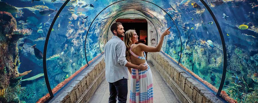 Las Vegas: Shark Reef Aquarium Entry Ticket - Getting There Inside Mandalay Bay (and Not Wasting Time)