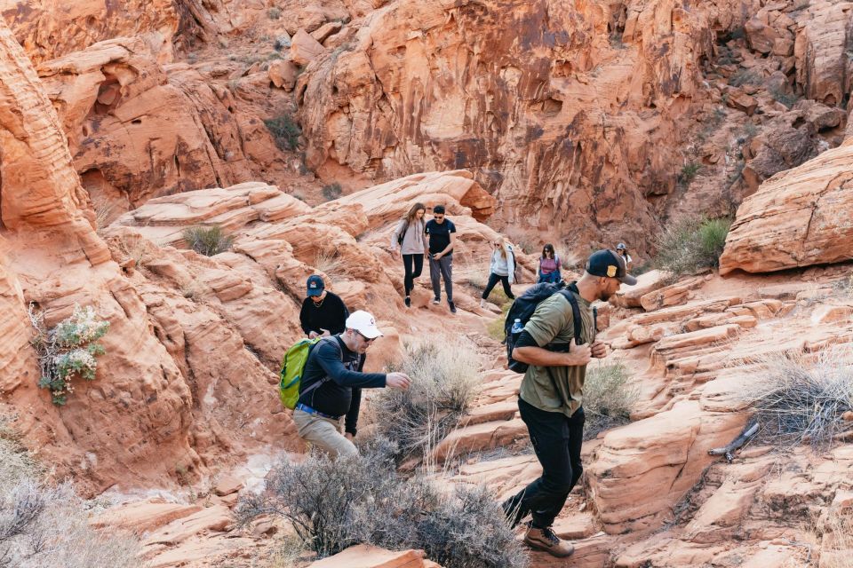 Las Vegas: Valley of Fire Guided Hike with Drinks and Snacks - Quick hits before you go
