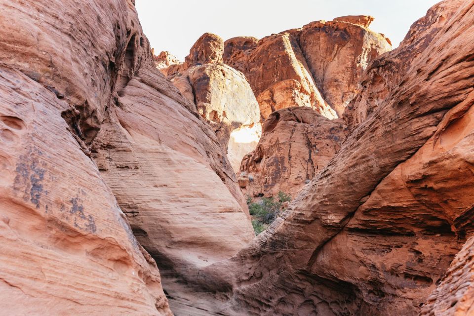 Las Vegas: Valley of Fire Guided Hike with Drinks and Snacks - What to pack (so you don’t waste energy)