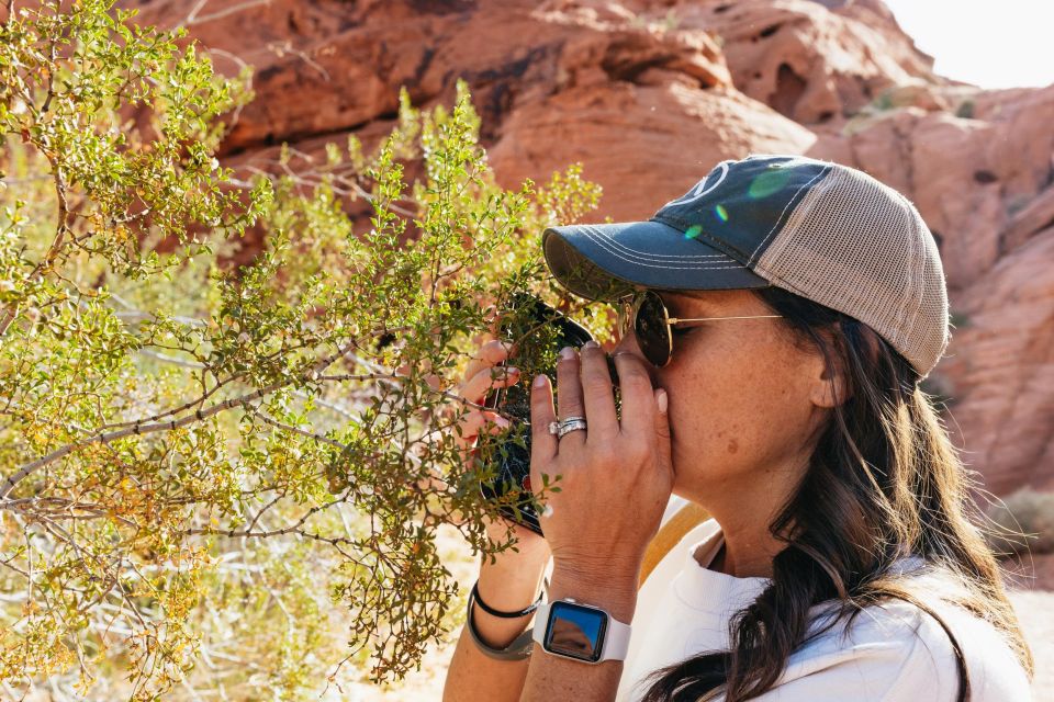 Las Vegas: Valley of Fire Guided Hike with Drinks and Snacks - Lake Mead views and why that stop makes sense