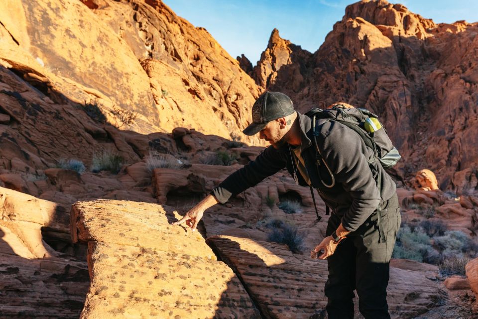Las Vegas: Valley of Fire Guided Hike with Drinks and Snacks - Wildlife moments: when the park “shows up” on your walk