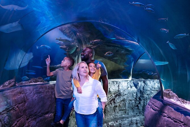LEGOLAND® California Theme Park Admission Tickets - LEGOLAND California Admission: what the $64 price buys you