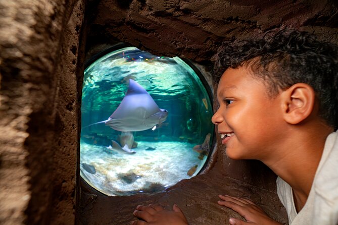 LEGOLAND Florida Theme Park Admission Tickets - LEGOLAND Water Park: Staying at the Resort When Florida Gets Hot