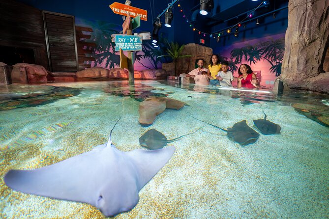 LEGOLAND Florida Theme Park Admission Tickets - SEA LIFE Aquarium Florida: A Short, Calm Stop That Works With a Busy Schedule