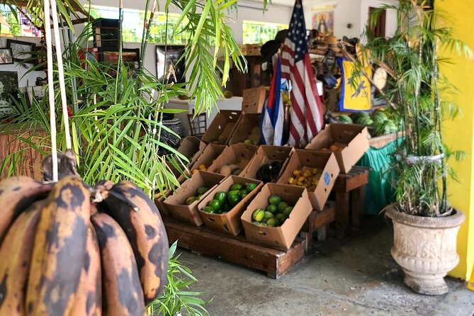 Little Havana: Authentic Food and Culture Walking Tour - Domino Park, music energy, and neighborhood life in between stops