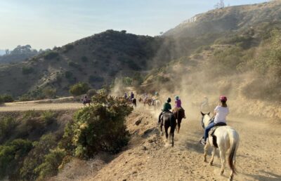 Los Angeles: Mulholland Trail Horseback Riding Tour - The 1-hour flow: how the ride moves through the hills