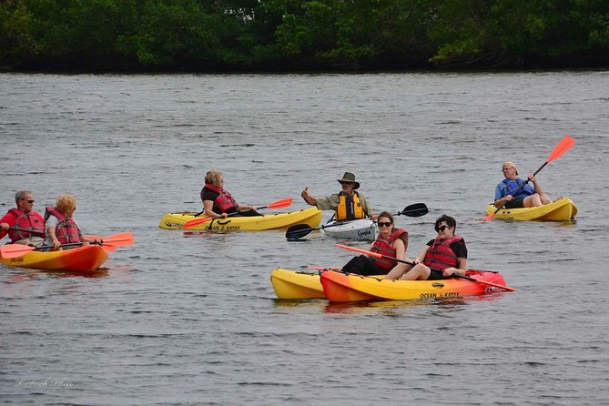 Lovers Key Guided Eco Tour-Mangrove Estuary - Picking Your Paddle Craft: Kayak vs Paddleboard vs Canoe