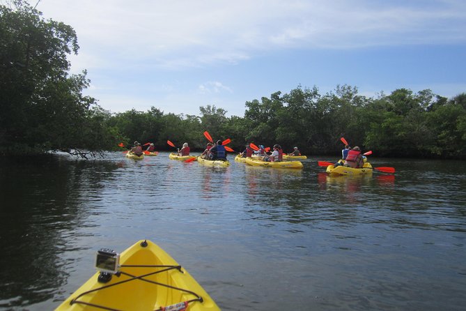 Lovers Key Guided Eco Tour-Mangrove Estuary - What to Expect in the Water: Calm Conditions, Beginner Comfort, and Sun Risk
