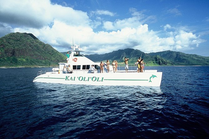Luxury Snorkel Cruise, Local Buffet with Whale & Dolphin Watch - Spotting Dolphins, Turtles, and Whales in Season on Oahu’s West Coast