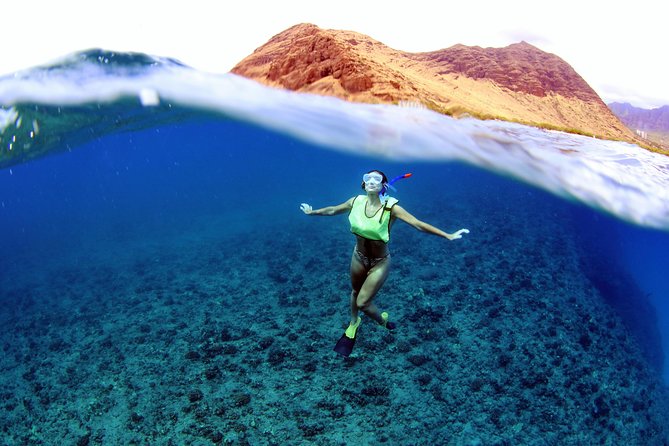 Luxury Snorkel Cruise, Local Buffet with Whale & Dolphin Watch - Snorkel Time at the Secret Spot: gear, instruction, and how to maximize your sightings