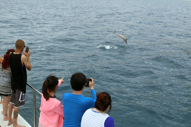 Luxury Snorkel Cruise, Local Buffet with Whale & Dolphin Watch - Hotel Pickup from Waikiki: timing, comfort, and getting to Ko Olina