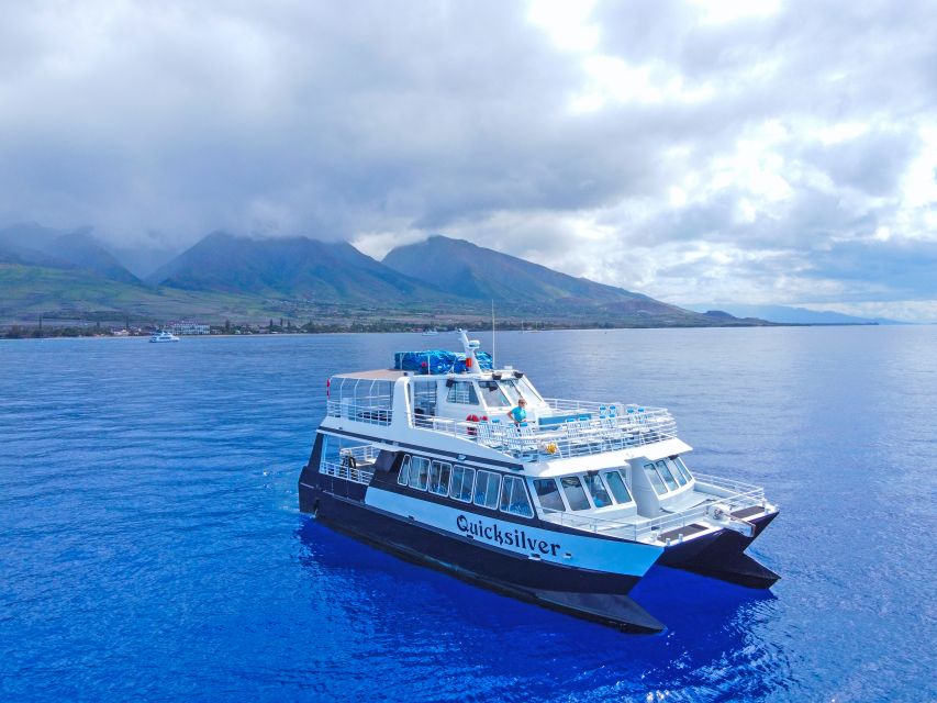 Ma'alaea Harbor: Whale Watching Tour Aboard Power Catamaran - Ma’alaea Harbor start: where to meet and how to find the boat