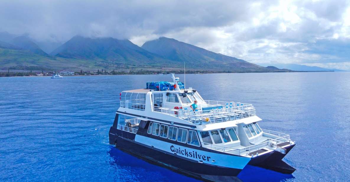 Ma'alaea Harbor: Whale Watching Tour Aboard Power Catamaran - What you do in the water: cruising Ma’alaea Bay for humpbacks