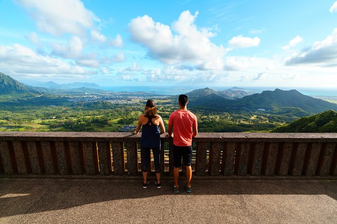 Majestic Circle Island Tour with Lunch - Dole Plantation and Haleiwa: pineapple fields, shopping time, and DoleWhip