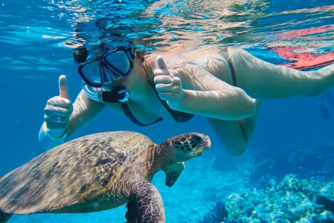 Makena Turtle Town Eco Adventure in Maui - The paddle out: calm water, real eyes-on wildlife