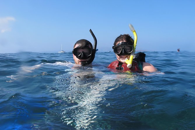 Makena Turtle Town Eco Adventure in Maui - Small group means a more human experience (and better guidance)