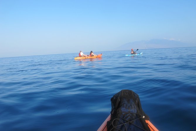 Makena Turtle Town Eco Adventure in Maui - Photos, tips, and the stuff you should know before you go