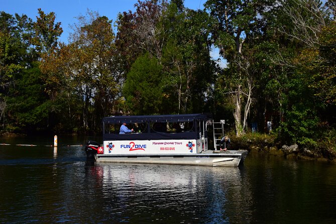 Manatee Snorkel Small Group Tour - Key things to know before you go