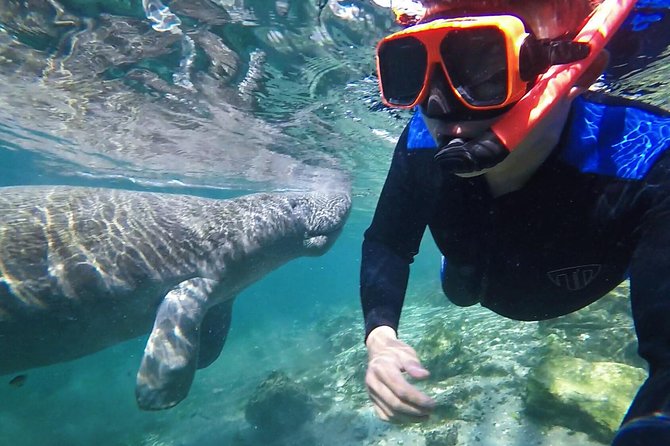 Manatee Swim Tour with In Water Photographer - Key things to know before you book