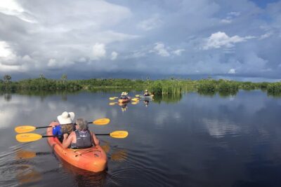 Manatees and Mangrove Tunnels Small Group Kayak Tour - How the 3-hour flow works (and why the stops matter)